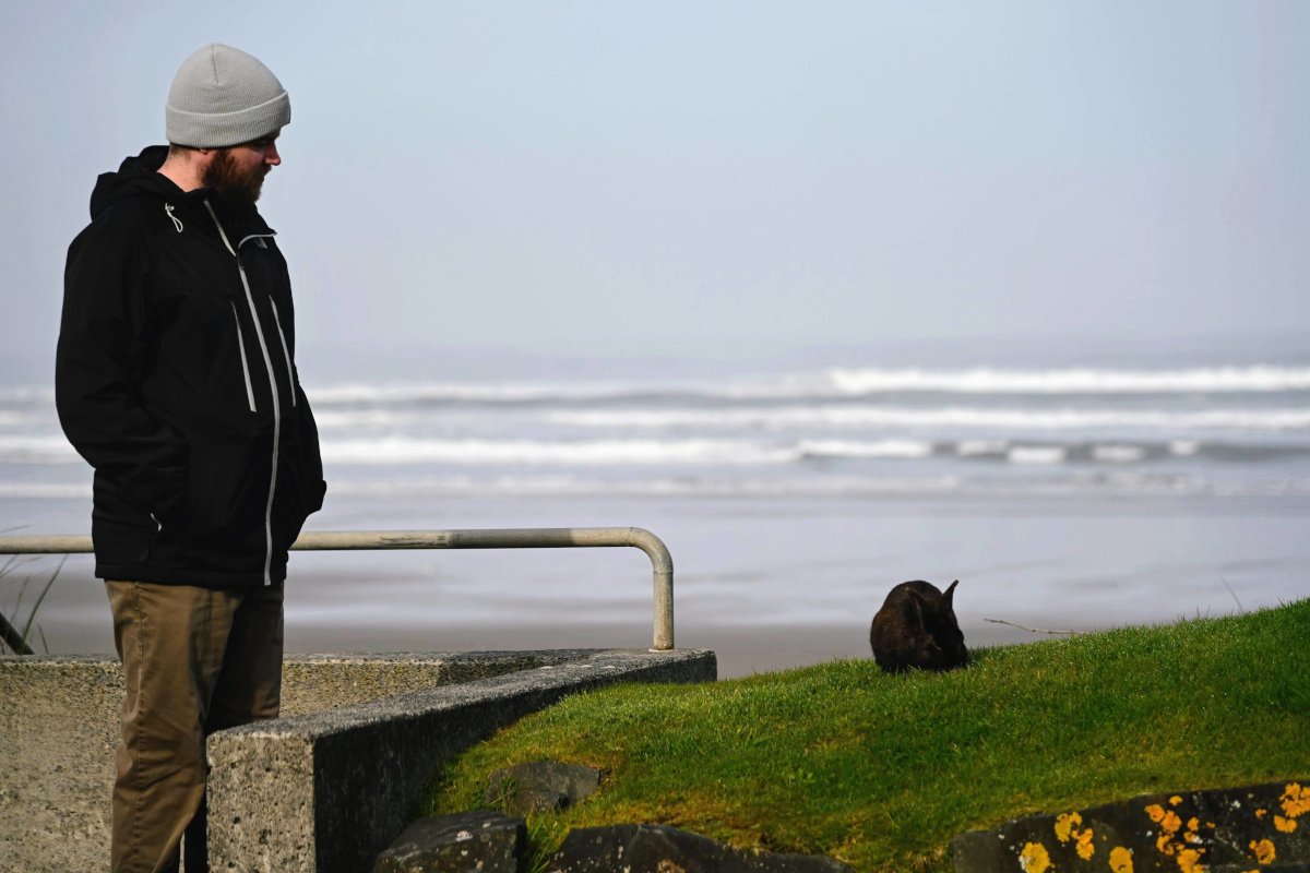 A person in a grey beanie and black winter coat gazes at a wild rabbit perched on a grassy mound. Behind them, waves roll onto a coastline beneath an overcast sky.